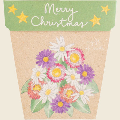 Gift of Seeds Christmas Native Daisies - Wasteless Pantry Mundaring