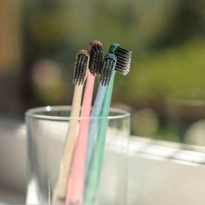 Toothbrush Wheat Straw - Wasteless Pantry Mundaring